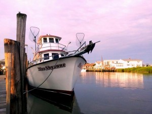 miss Shyanne, bowers beach, delaware, beaches, murderkill river, delaware bay, head boats, captains lady charters