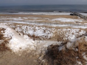 cape henlopen, sled run, dune sledding