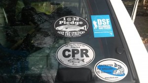 1@32, CPR, catch photo release,striped bass grass roots movements, rockfish, save the stripes,