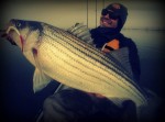 striped bass, Chesapeake bay, kayak fishing, winter fishing,