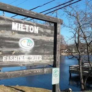 Milton Fishing Pier, sussex county
