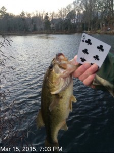 smallmouth bass, delaware, sussex county, blairs pond, freshwater fishing, all species fishing tournament, dsf