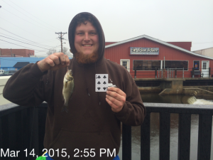 white perch, mispillion river, milford, delaware, sussex county, all species fishing tournament, dsf playing cards