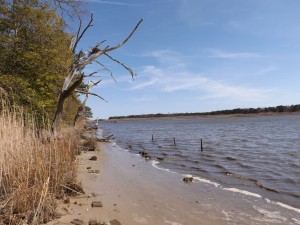 indian river, inland bay, blow out tide, low tide, murky water, osprey nest, indian river power plant, millsboro, rivedale, oak orchard, millville,