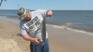 beach plum island, broadkill beach, bluefish, sussex county, delaware, milton