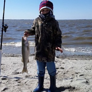 elsinboro, new jersey, surf fishing,delaware bay beach, striped bass, rockfish