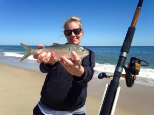 bunker, surf fishing, cape henlopen state park, bunker chunking,