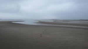 fly fishing, CHSP, cape henlopen, flats fishing in delaware, flounder, croaker, bluefish, rockfish, striped bass,