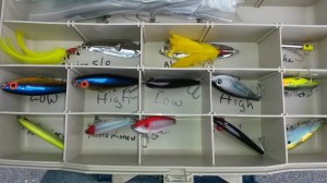 tackle, fishing gear, mirro lures, plugs, spoons, delaware, sussex county, long neck tackle shop,