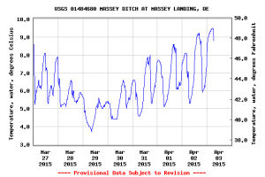 masseys ditch, inland bay water temperatures, indian rvier inlet, rehoboth bay, assawoman bay, sussex county, delaware fishing report