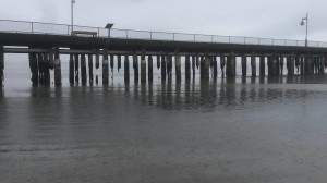 cape henlopenn state park, fishing pier, flats fishing, sussex county, delaware, flounder fishing, damaged pier poles