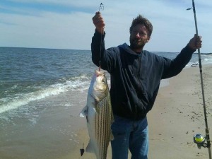 broadkill beach, striped bass, rockfish, spring run, bloodworms, bunker chunking,delaware, sussex county, delmarva, dans tackel box, bait shops in milton,