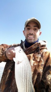 augustine beach, striped bass, rockfish, bloodworms, kent county, sussex county, delaware, spring run, prespawnbass, cold water fishing