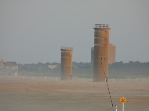 cape henlopen state park, piping plovers, gordons pond, herring point, beach closures