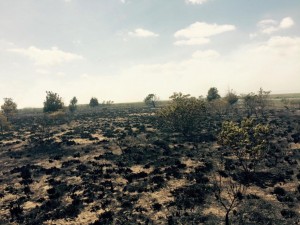 sussex county, volunteer firefighters, delaware, marsh fire, savages ditch, oldinlet, burtons island, delaware seashore state park