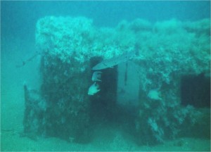 Artificial Reef, photo from NOAA