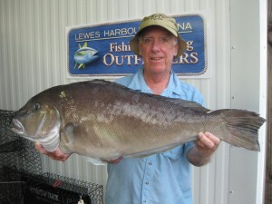 blueline tilefish pending delaware state record, sussex county, lewes harbor marina, baltimore canyon, atlantic fish, deep dropping,