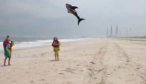 shark kite, delaware seashore state park