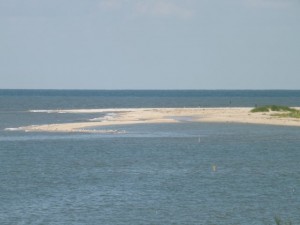 the point, cape henlopen state park, delaware, sussex county, fall fishing,