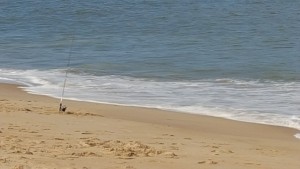 actively surf fishing, delaware beaches, pose fishing, sussexcounty, you're doing it wrong