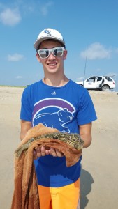 burr fish, cape henlopen state park, atlantic ocean puffers