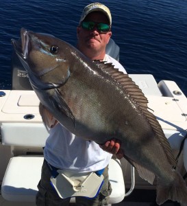 blueline tilefish, lewes harbor marina, delaware state record, sussex county, canyon fishing, deep dropping