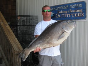 blueline tilefish, delaware state record, sussex county,