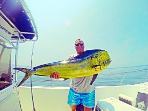 mahi mahi, bull dolphin fish, dorado, the canyons, atlantic ocean