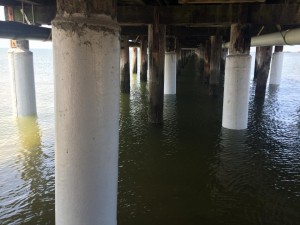 cape henlopen fishing pier repairs, sussex county, delaware, flounder fishing, the flats
