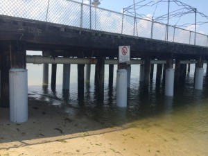 delaware, fishing pier, cape henlopen, sussex county