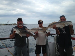 the flounder pounder, ocean city charter boats, maryland, ocean city inlet, assateague, red fish, red drum, peanut bunker,