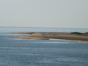 cape henlopen state park, the point, surf fihsing, delaware, sussex county, delaware bay, harbor of safe refuge, breakwater lighthouse