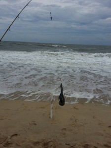 delaware, strange stuff caught from the beach,