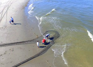 broadkill beach, weakfish tagging project, delaware, sussex county, delaware bay, sea trout, atlantic ocean fish