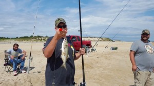 bluefish, delaware, sussex count,cape henlopne state park, atlantic fish, yellow eyed devil