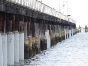 reinfirced pylons, cape henlopen pier, delaware, sussex county, cape henlopen state park