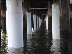 cape henlopen fishing pier, repaired pylons, delaware, sussex county,