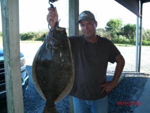 flounder, old inlet bait and tackle,