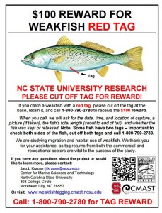 weakfish tagging project, red tag reward, sussex county, delaware, atlantic ocean, migratory fish
