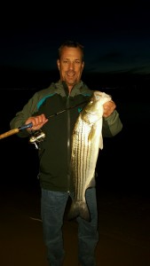 striped bass, inland bays, rockfish,