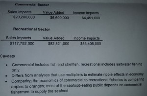 Economic Impact of Fishing in Delaware, sussex county, kent county, new castle county, tidal finfish advisory council, Dover, DNREC