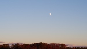 beaver moon, hunters moon,frosty moon, november full moon, 2015, delaware, sussex county