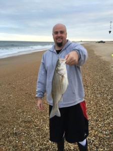 rockfish, fall migration, delaware, sussex county, striped bass, line sider, cape henlopen statepark