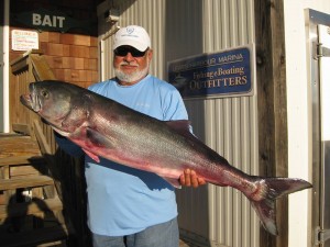 Dr. Luis Mispireta landed what will likely become the new Delaware State Record Bluefish while wreck fishing