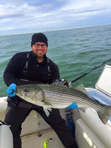 striped bass,sea isle city,new jersey, the lumps, avalon limps, rockfish,linesider