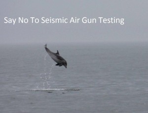 seismic air gun testing, BOEM, bureau of ocean energy management, delaware, sussex county, kent county, new castle county
