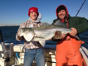 striped bass, new jersey, rockfish, line sider, avalon lumps, sea islelumps