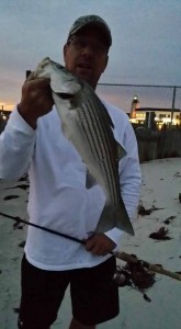 striped bass, inland bays, delaware, sussex county, rockfish, dewey beach, rehoboth bay, swim shad