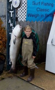 sam adams, striped bass, new jersey, striped bass, rockfish