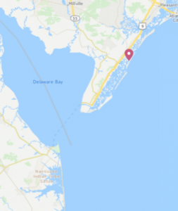 striped bass, sea isle city bait and tackle, delaware, sussex county, rockfish, line siders